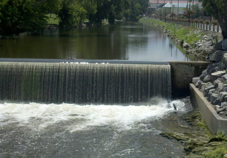 Sometimes solitude has its rewards